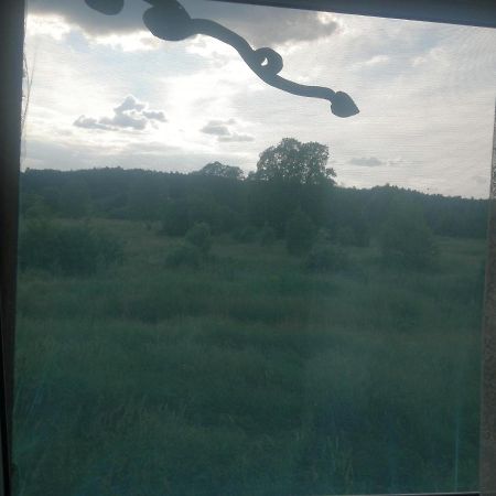 Ostoja Bialowieza Exterior foto
