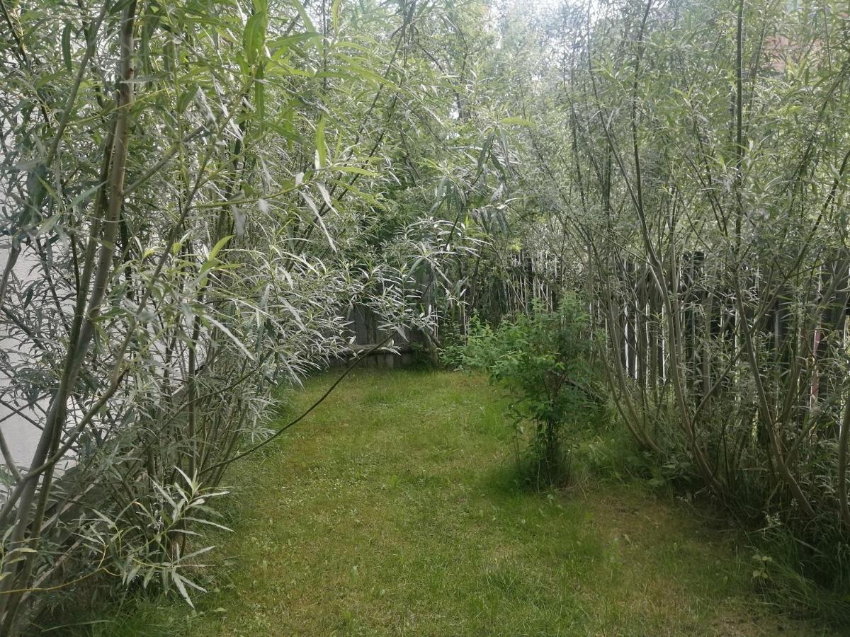 Ostoja Bialowieza Exterior foto