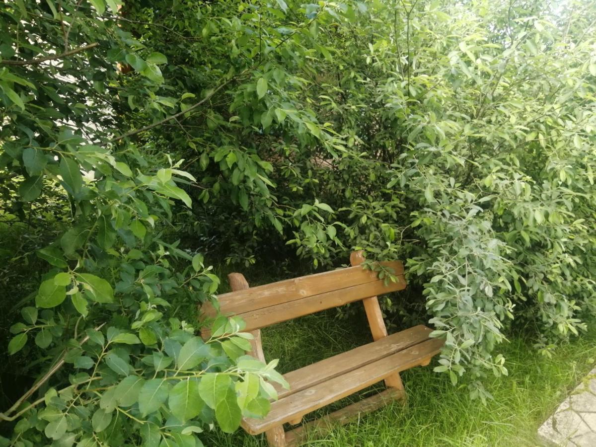 Ostoja Bialowieza Exterior foto
