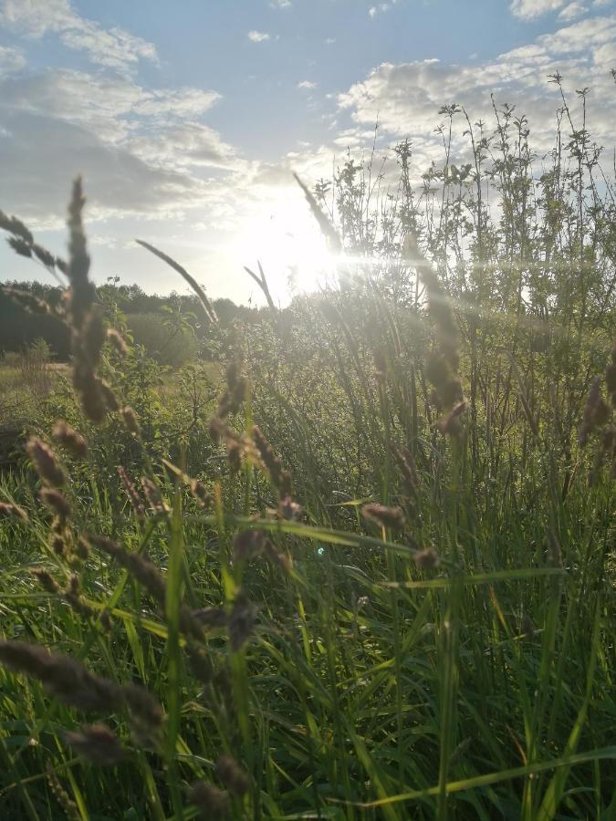 Ostoja Bialowieza Exterior foto