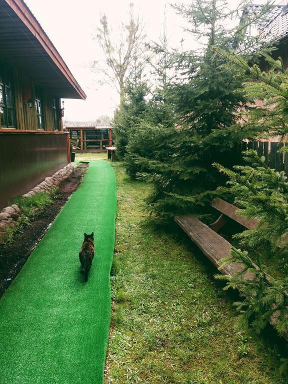 Ostoja Bialowieza Exterior foto