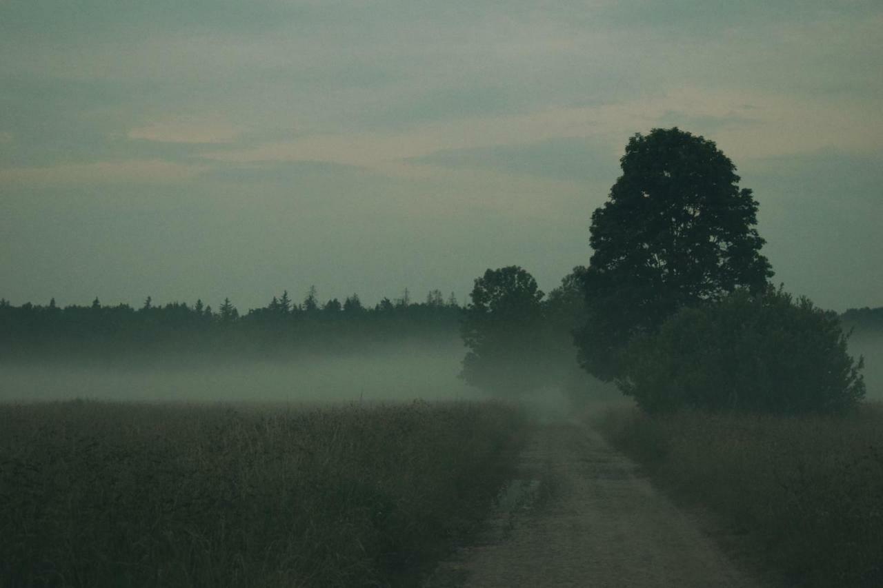 Ostoja Bialowieza Exterior foto
